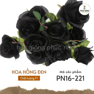 Hạt giống Hoa Hồng Đen - 20 hạt