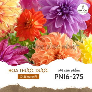 Hạt giống hoa Thược Dược mix - 50 Hạt