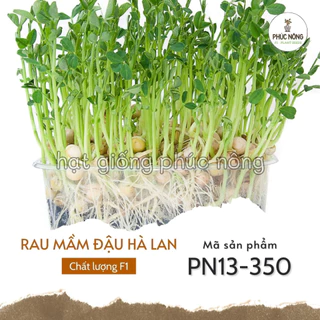 Hạt giống Rau Mầm Đậu Hà Lan - 50 Gram