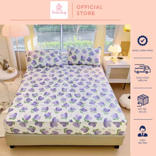 Bộ Ga Gối Cotton Đũi Dệt Bông Xơ Đậu Lành - Full Size- Tặng Kèm 2 Vỏ Gối.