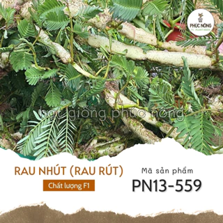 Hạt giống Rau Nhút (Rau Rút) – Gói 100 hạt |