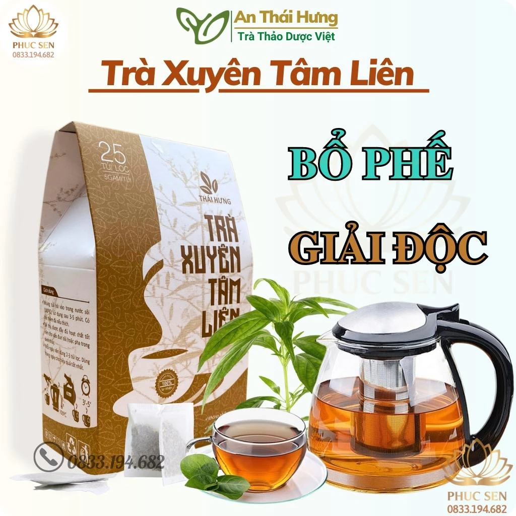 Trà Xuyên Tâm Liên Thái Hưng, Trà Túi Lọc Thảo Dược Giúp Thanh Nhiệt, Giải Độc, Bổ Phế Giảm Ho - Hộp 25 Túi Lọc 5 Gam