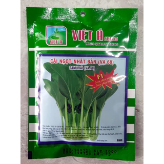 Hạt giống cải ngọt Việt Á Nhật Bản 100gr