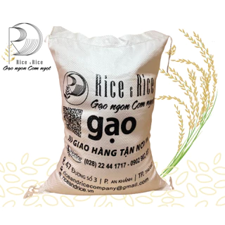 Túi 5KG Gạo Tài Nguyên Chợ Đào - Cơm xốp mềm, thơm và rất ngọt cơm - Rice&Rice