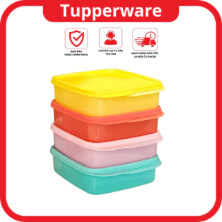 Hộp cơm chia ngăn 550ml LollyTup (1 hộp) - Tupperware