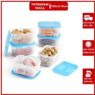 Bộ Hộp Trữ Đông Freezermate 650ml Tupperware (6 Hộp)