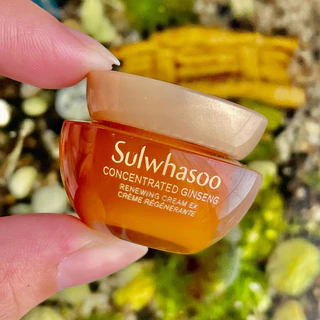 Kem dưỡng nhân sâm Sulwhasoo 5ml- Sulwhasoo Concentrated Ginseng Renewing Cream 5ml