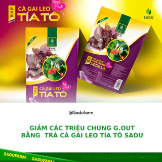 Trà Cà gai leo TÍA TÔ Sadu bịch 500g gồm 100 túi lọc