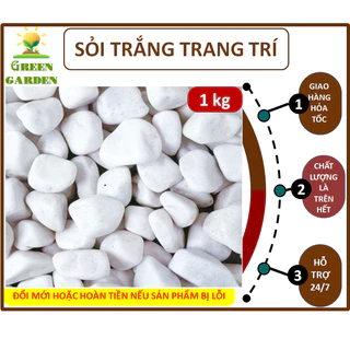 Sỏi trắng trang trí chậu cây (1kg, size 2-4cm), trang trí sân vườn, bể thủy sinh...