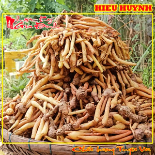 500gr Củ Ngãi Bún Nguyên Liệu Không Thể Thiếu Để Nấu Bún Cá Bún Mắm Miền Tây