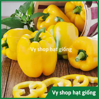 Hạt giống ớt chuông ngọt quả vàng gói 100 hạt