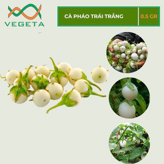 HẠT GIỐNG CÀ PHÁO TRÁI TRẮNG 0.5gr - VEGETASHOP - HẠT GIỐNG NẢY MẦM TỐT, NĂNG SUẤT CAO