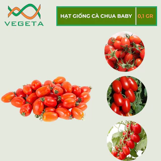 HẠT GIỐNG CÀ CHUA BABY 0.1gr - VEGETASHOP - HẠT GIỐNG NẢY MẦM TỐT, NĂNG SUẤT CAO