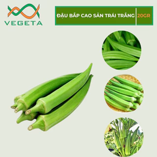 HẠT GIỐNG ĐẬU BẮP CAO SẢN TRÁI TRẮNG 20gr - VEGETASHOP - HẠT GIỐNG NẢY MẦM TỐT, NĂNG SUẤT CAO