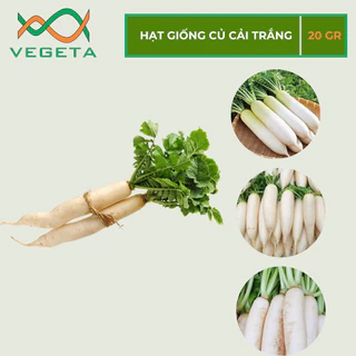 HẠT GIỐNG CẢI CỦ TRẮNG 20gr - VEGETASHOP - HẠT GIỐNG NẢY MẦM TỐT, NĂNG SUẤT CAO