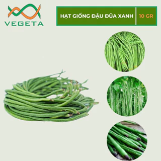 HẠT GIỐNG ĐẬU ĐŨA XANH 10gr - VEGETASHOP - HẠT GIỐNG NẢY MẦM TỐT, NĂNG SUẤT CAO