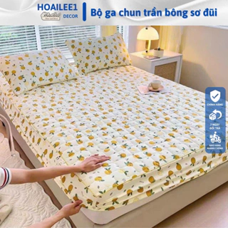 Bộ ga gối 3 Món Cotton đũi dệt bông xơ đậu lành ga gối trần bông đũi cotton, kèm 2 vỏ gối