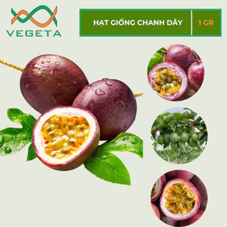 HẠT GIỐNG CHANH DÂY 1gr - VEGETASHOP - HẠT GIỐNG NẢY MẦM TỐT, NĂNG SUẤT CAO