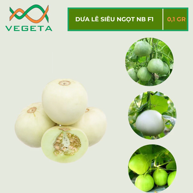 HẠT GIỐNG DƯA LÊ SIÊU NGỌT NHẬT BẢN 0.1gr - VEGETASHOP - HẠT GIỐNG NẢY MẦM TỐT, NĂNG SUẤT CAO