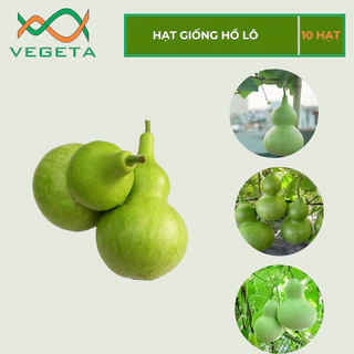 HẠT GIỐNG BẦU HỒ LÔ ( 10 HẠT ) - VEGETASHOP - HẠT GIỐNG NẢY MẦM TỐT, NĂNG SUẤT CAO