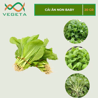 HẠT GIỐNG CẢI ĂN NON BABY 20gr - VEGETASHOP - HẠT GIỐNG NẢY MẦM TỐT, NĂNG SUẤT CAO