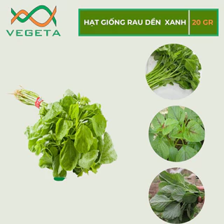 HẠT GIỐNG RAU DỀN XANH 20gr- VEGETASHOP - HẠT GIỐNG NẢY MẦM TỐT, NĂNG SUẤT CAO