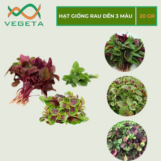 HẠT GIỐNG RAU DỀN 3 MÀU 20gr - VEGETASHOP - HẠT GIỐNG NẢY MẦM TỐT, NĂNG SUẤT CAO