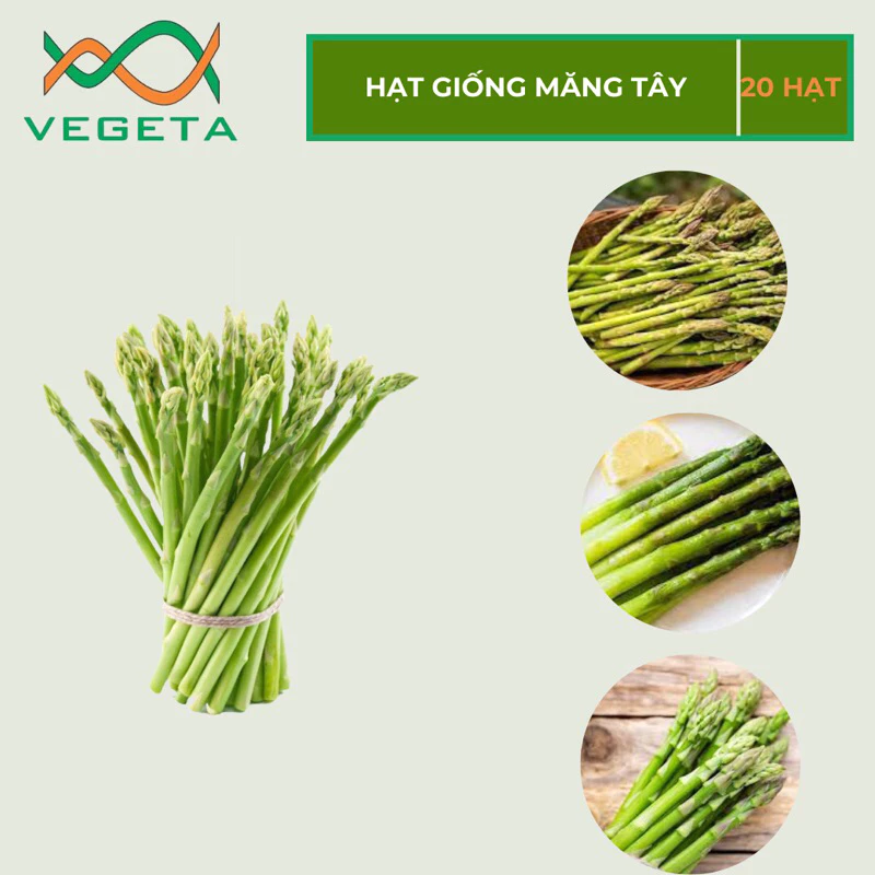 HẠT GIỐNG MĂNG TÂY 20 HẠT -  VEGETASHOP - HẠT GIỐNG NẢY MẦM TỐT, NĂNG SUẤT CAO