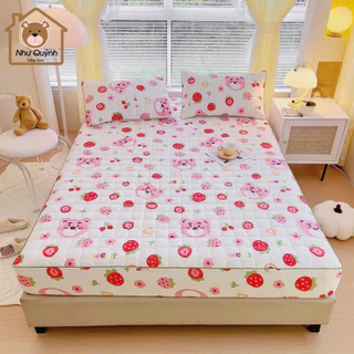 Bộ chăn ga gối 3 Món Cotton đũi dệt bông xơ đậu lành ga gối trần bông đũi cotton, kèm 2 vỏ gối