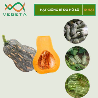 HẠT GIỐNG BÍ ĐỎ HỒ LÔ ( 10 hạt ) - VEGETASHOP - HẠT GIỐNG NẢY MẦM TỐT, NĂNG SUẤT CAO