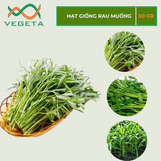 HẠT GIỐNG RAU MUỐNG LÁ TRE 50gr - VEGETASHOP - HẠT GIỐNG NẢY MẦM TỐT, NĂNG SUẤT CAO