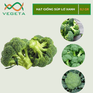 HẠT GIỐNG SÚP LƠ XANH 0.1gr - VEGETASHOP - HẠT GIỐNG NẢY MẦM TỐT, NĂNG SUẤT CAO