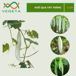 HẠT GIỐNG KHỔ QUA TÂY TRẮNG 2gr - VEGETASHOP - HẠT GIỐNG NẢY MẦM TỐT, NĂNG SUẤT CAO