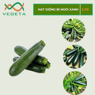 HẠT GIỐNG BÍ NGÒI XANH 2gr - VEGETASHOP - HẠT GIỐNG NẢY MẦM TỐT, NĂNG SUẤT CAO