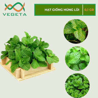 HẠT GIỐNG HÚNG LŨI 0.1gr - VEGETASHOP - HẠT GIỐNG NẢY MẦM TỐT, NĂNG SUẤT CAO