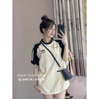 Áo thun nữ tay lỡ chất cotton khô 3158 in chữ  AĐÁT phong cách Hàn Quốc CAMASTORE M118