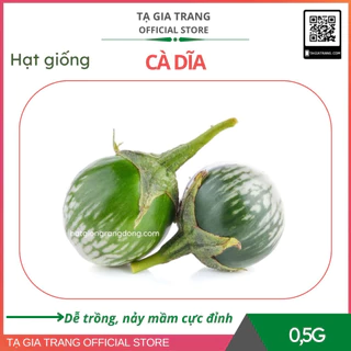 Hạt giống cà dĩa kháng bệnh tốt, năng suất cao