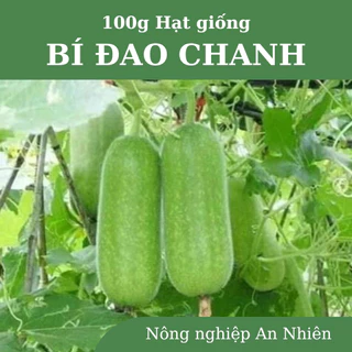 100g Hạt giống bí đao chanh siêu trái