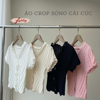 Áo len nữ crop sóng chất len mỏng phong cách Hàn Quốc Red Shop 302001
