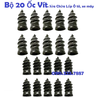 Bộ 20 Ốc Vít: Sửa Chữa Lốp Ô tô, xe máy Chuyên Dụng ( 10 to + 10 nhỏ)