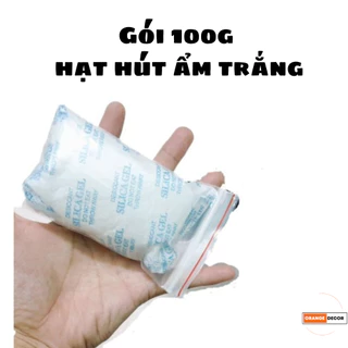 Gói hút ẩm đóng túi 100 gram Silica Gel - Hạt chống ẩm mốc