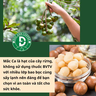 500G Hạt macca nứt vỏ Đắc Lắc hạt mắc ca Tây Nguyên đã rang sấy hạt ngũ cốc dinh dưỡng cho bà bầu, ăn kiêng, giảm