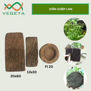 [ Giá Tụt Quần ] Dớn Bảng Ghép Lan 13x30 và 20x60 và Dớn Dĩa 20 x 5 - VEGETASHOP