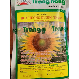 Hạt Giống Hướng Dương Trang Nông TN 282