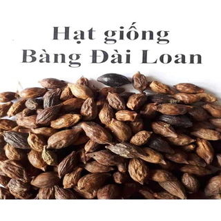 100gram hạt giống bàng đài loan