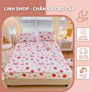 Bộ ga gối Cotton đũi dệt bông xơ đậu lành cao cấp, Set 3 món ga gối mềm mịn thoáng mát