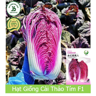 Hạt giống cải thảo tím f1- Nguyên gói 50 hạt