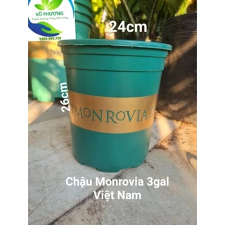 Chậu nhựa trồng cây Monnovia 3gal Hàng Việt Nam kt miệng 23cmx cao 26cm