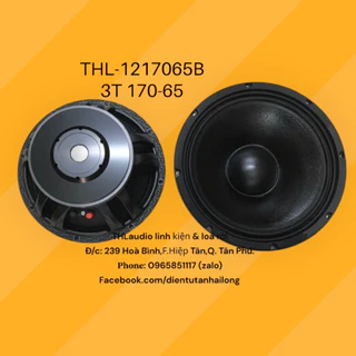 Bass 3 tấc ( 30cm) từ 170 & 190 coil 65-75