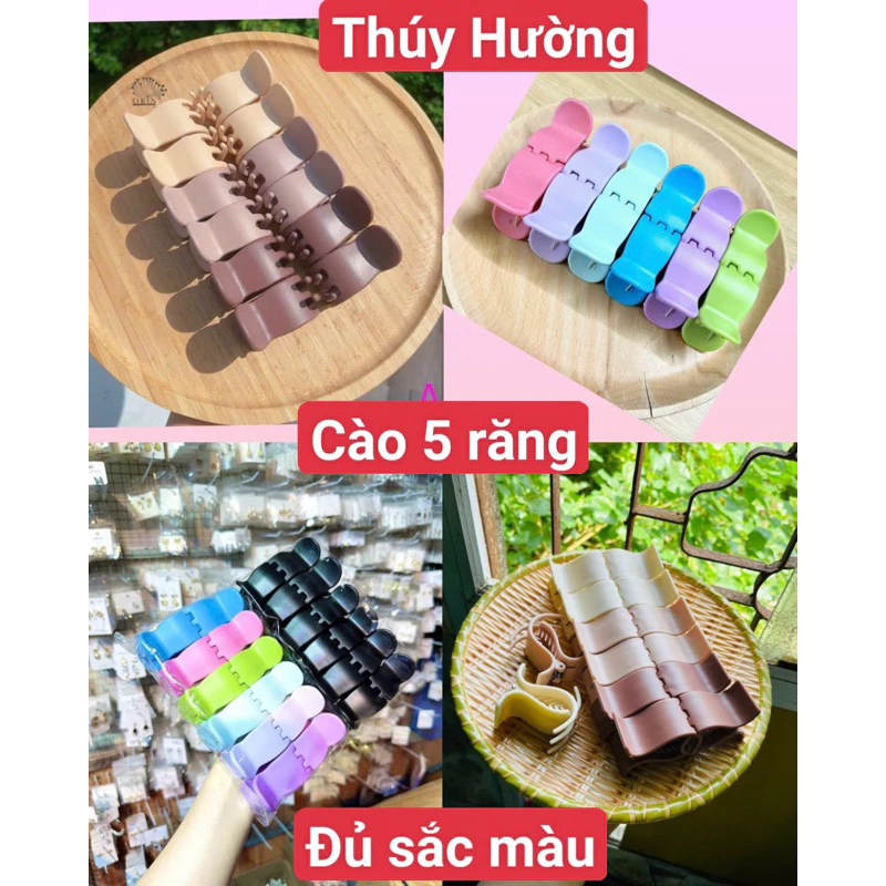 [ Được Kiểm Hàng] Lốc 12 Chiếc Cặp Tóc Càng Cua 5 Răng Bầu Mẫu Mới Lần Đầu Ra Mắt Thị Trường